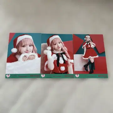이코라부 사이토 쥬아라 생사진 크리스마스 산타 2024 컴프 2