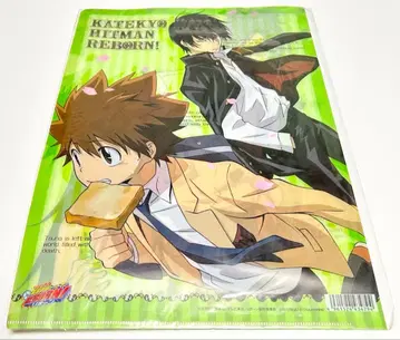 가정교사 히트맨 REBORN 클리어 파일