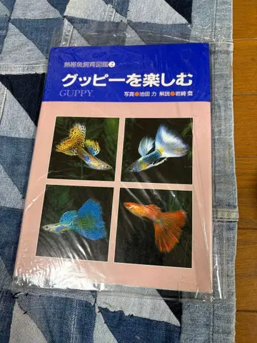 새상품 미개봉 구피 즐기기