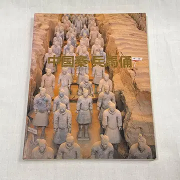 중국 진시황 병마용