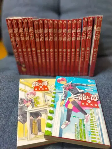 용과 딸기 전 20권 세트