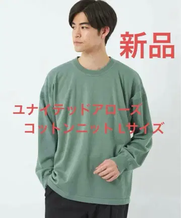 새상품 유나이티드 애로우즈 클리어 코튼 간지 크루넥 니트 L 사이즈