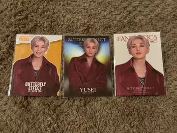 야기 유세이 포토 카드