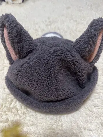 디즈니씨 피터팬 로스트키즈 팬캡