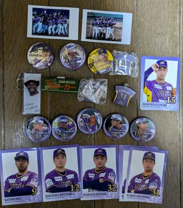 가나가와 퓨처 드림스 폴라로이드, 카드, 배지, 키링