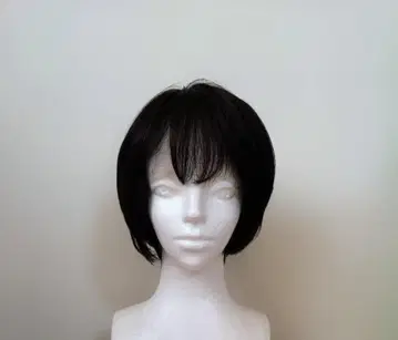 폰테인 아데란스 가발