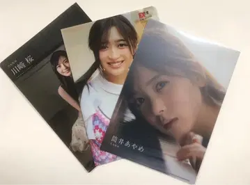 노기자카46 포스터 클리어 파일