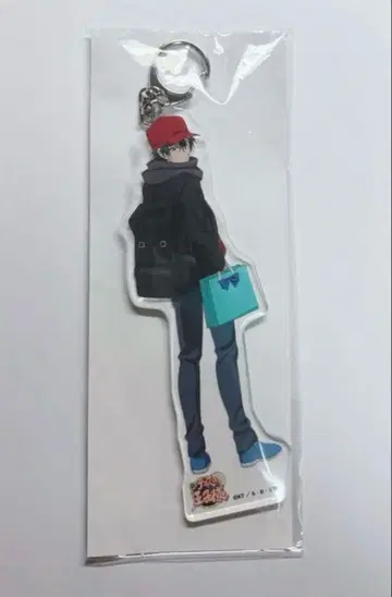 신 테니스의 왕자님 에치젠 료마 아크릴 키링