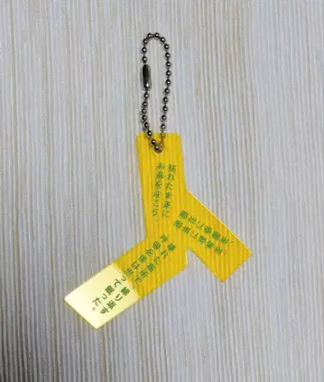 Tele 시의 형태 히비