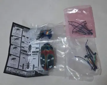 오오키바우스바카미키리와 한묘 한묘(레드) 생물대도감