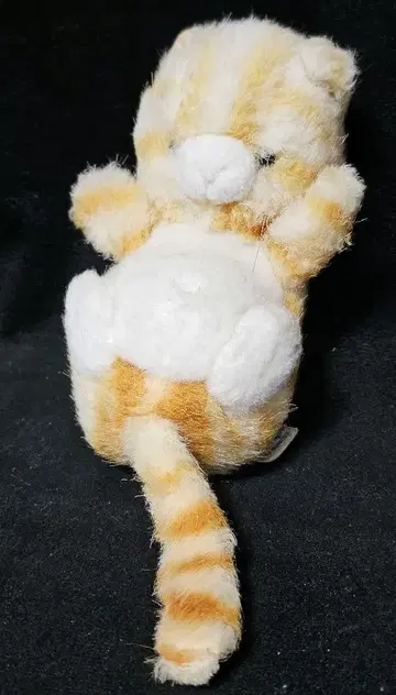 퍼스트사 고양이 봉제 인형 장난