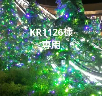 이부식 기모노 (이중 기모노)