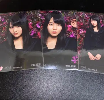 =LOVE 이코라부 생사진 컴프 오바 하나 꽃 배경