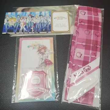 카라피치 파라다이스 2025 노아짱 굿즈 세트