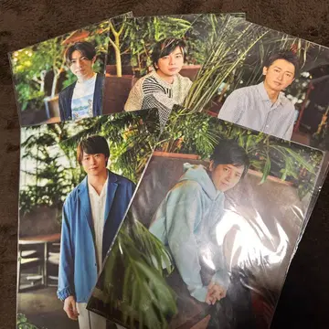 아라시 아라페스 2020 멤버 솔로 클리어 파일 세트 5매