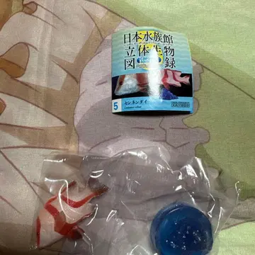 수족관 한정판 일본 수족관 입체 생물 도감 센넨다이 미개봉 새상품