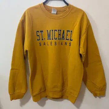 [ 00s ] GILDAN 칼리지 맨투맨