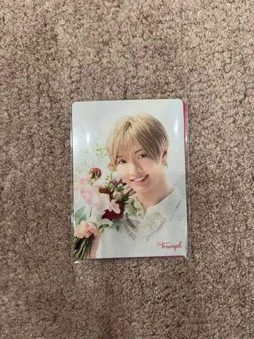 Triumph 사토 신 (IMP.) 오리지널 메시지 카드 2장 세트