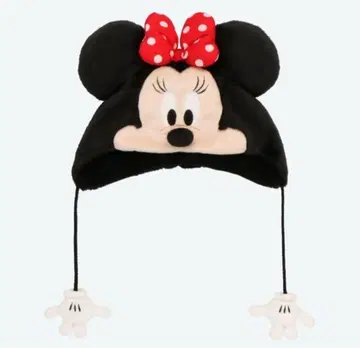 디즈니 미니 팬캡