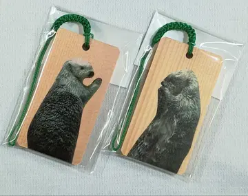 [ 완판 ] 도바 수족관 메이 & 키라 나무 명찰 그린 끈 세트 새상품