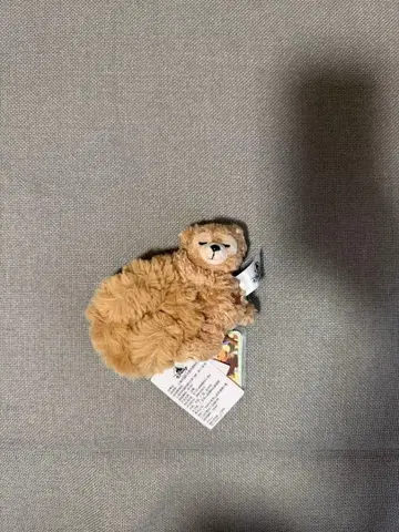 상하이 디즈니 닷피 스크런치