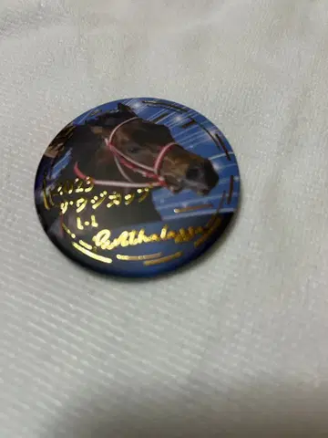 선두 지상주의! 도망 말 캔뱃지 컬렉션