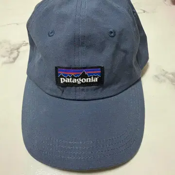 ptagonia 캡
