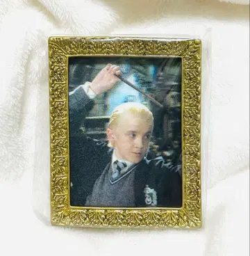 말포이 초상화 마그넷 컬렉션