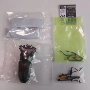 에라푸스 호소아카 사슴벌레 그린 생물대도감 어드밴스 미개봉 새상품