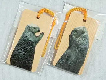 [ 완판 ] 토바 수족관 해달 메이 & 키라 목찰 골드 끈 세트 새상품