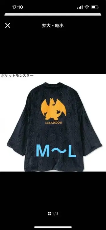 레어 포켓몬 반점 리자몽