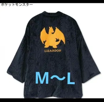 레어 포켓몬 반점 리자몽