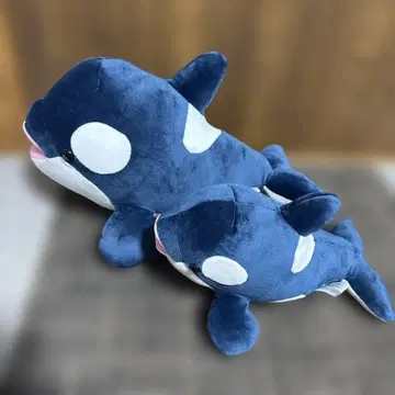 고베 스마 월드 범고래 복권 3등 4등 샤치 봉제 인형 딥 블루