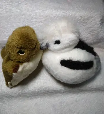 야마네 공방 봉제 인형 칼가모 오리 모몽가