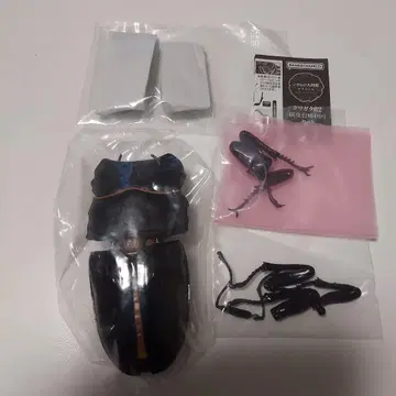 오오쿠와가타 생물대도감 어드밴스 사슴벌레 02 미개봉 새상품