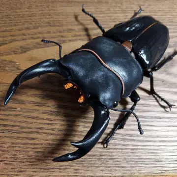 오오쿠와가타 생물대도감 어드밴스 사슴벌레 02 미개봉 새상품