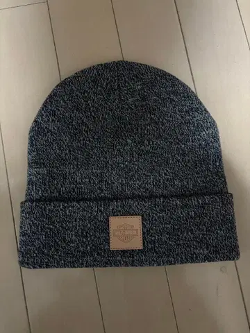 Harley-Davidson 비니