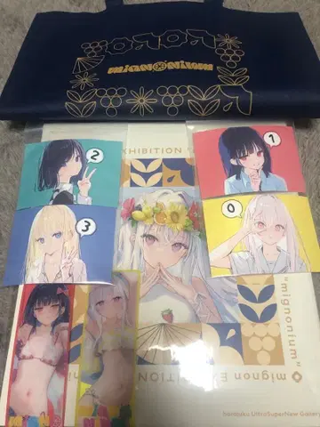 mignon mignonium 색지&케이스(사인 없음)