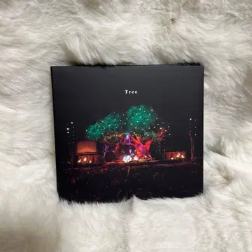 Tree SEKAI NO OWARI 세카이노오와리 최초 한정판