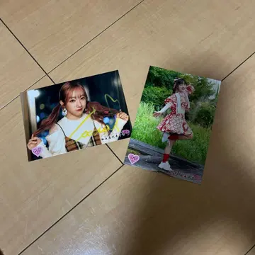 사쿠라기 코코나 사인 브로마이드