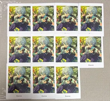 앙스타 파샤츠 칸나