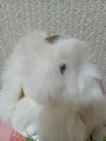 화이트 새상품 복슬복슬 토끼 봉제 인형 화이트 키링