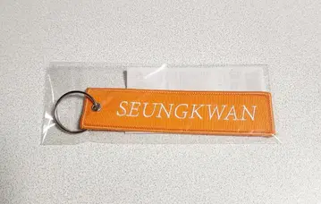 미개봉 새상품 SEVENTEEN 플라이트 택 키링 승관 FOLLOW