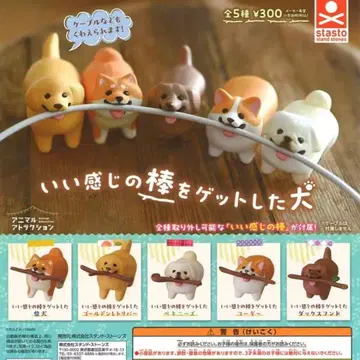 기분 좋은 막대기를 겟한 개 가챠 전 5종 컴프 세트