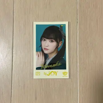 니어 조이 야마다 안즈 미니 포토 vol.4 컴프