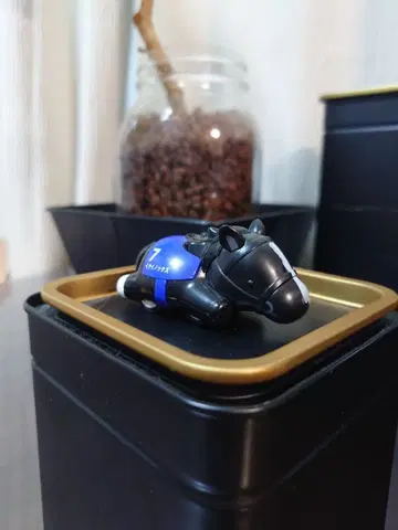 [ 이퀴녹스 ] 캡슐 토이 쵸로Q