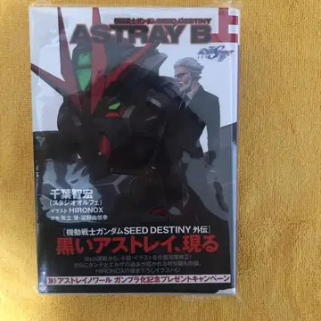 기동전사 건담 SEED DESTINY ASTRAY B 상