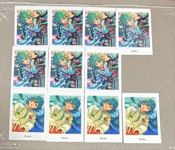 앙스타 파샤츠 라이카