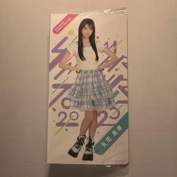 노기자카46 야타 모에카 2025년 사진 앨범 한여름 전국 투어