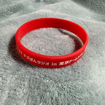 도즈루사 오프라인 이벤트 리스트 밴드